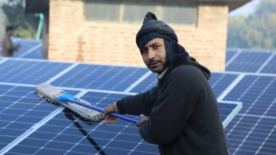 A man cleans solar panels on the roof of a building